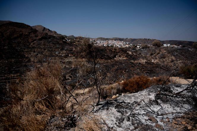3148d268-f2fa-43cc-bf17-808579a617b2 Incendie meurtrier en Andalousie : un appel à la prévention