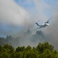 Le gouvernement préoccupé par la précocité des incendies dans le sud de la France