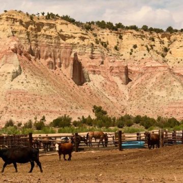 Réduction des zones protégées en Utah par Donald Trump