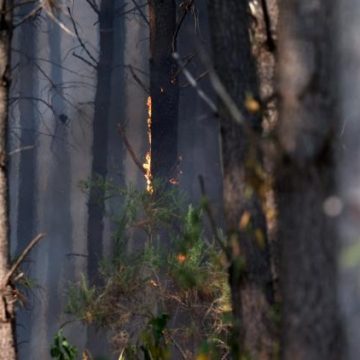 Arrestations pour incendies volontaires à Nanterre et Grenoble