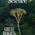 Les arbres les plus hauts résistent mieux à la sécheresse