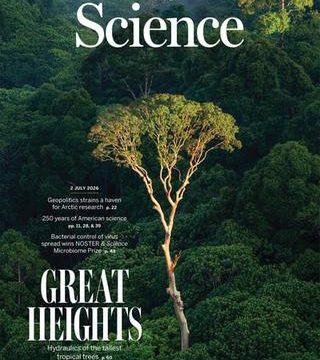 4323fa8c-c525-4896-8b0a-419ea298b120 Les arbres les plus hauts résistent mieux à la sécheresse