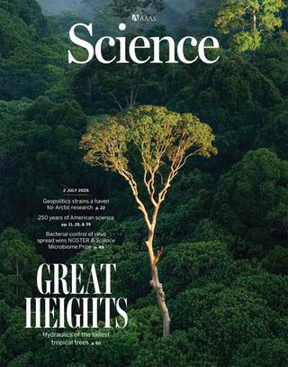 4323fa8c-c525-4896-8b0a-419ea298b120 Les arbres les plus hauts résistent mieux à la sécheresse