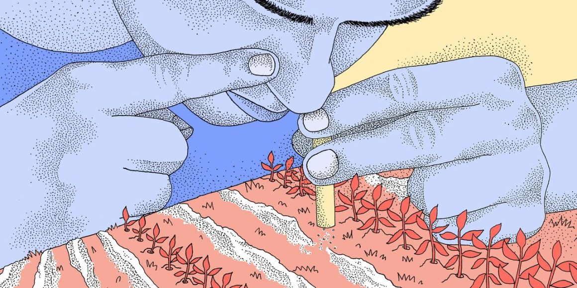 Usage de la cocaïne dans les milieux ruraux et professionnels
