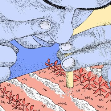 Usage de la cocaïne dans les milieux ruraux et professionnels