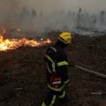 Incendies et canicule en Gironde : Une situation critique