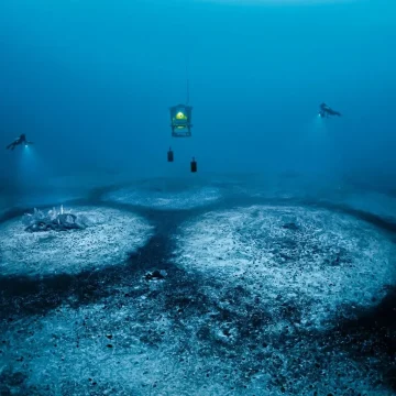 Les Voyages Littéraires et Artistiques de Jean-Christophe Rufin