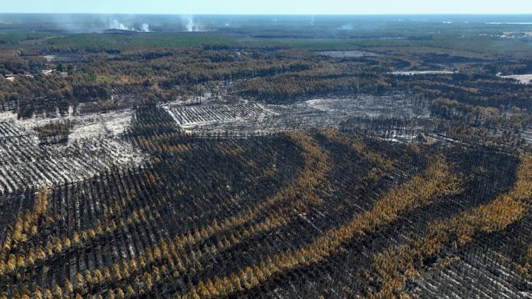 5059b45a-a53d-4a95-89c3-9a4ad48fd74b Les incendies ravagent l’Europe : Point sur la situation en Gironde, Portugal et Espagne