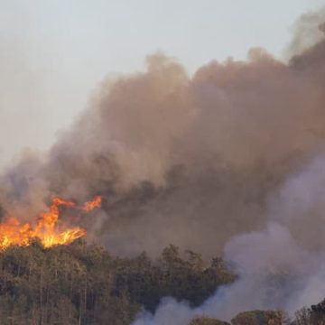 50a1e46e-4ccb-41bc-be2e-574326853d1a Incendie de la Costa Brava : 2.000 hectares brûlés
