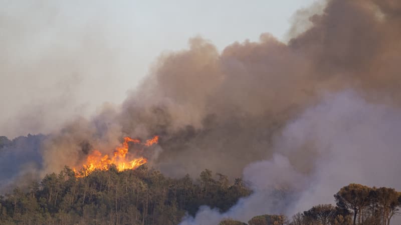 50a1e46e-4ccb-41bc-be2e-574326853d1a Incendie de la Costa Brava : 2.000 hectares brûlés