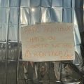 Les animaux au cœur de l’évacuation au Parc des Expositions de Bordeaux