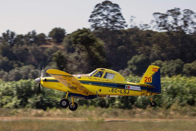 53d14136-d097-4c5e-82f8-63ff4539661a Le Portugal face à ses premiers incendies de l’été