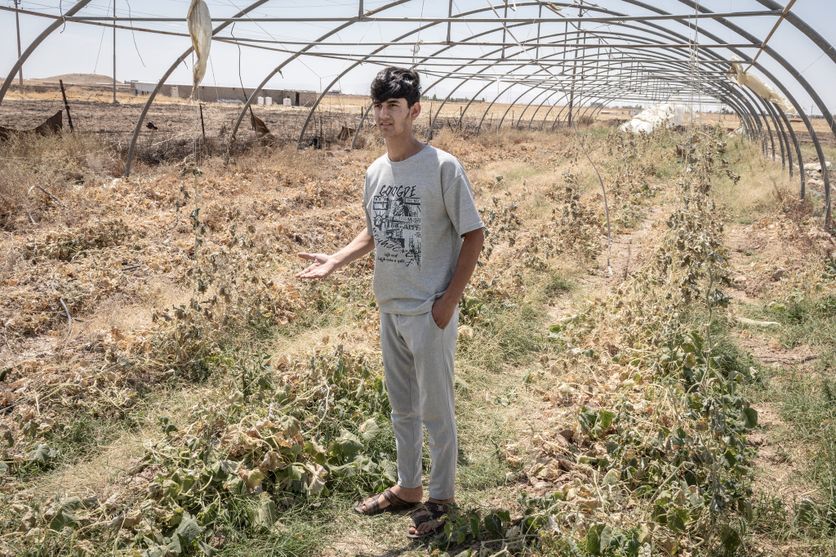 Irak Agriculture et défis des jeunes agriculteurs à Sinjar