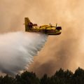 Incendies et Vague de Chaleur en France : Situation et Mesures