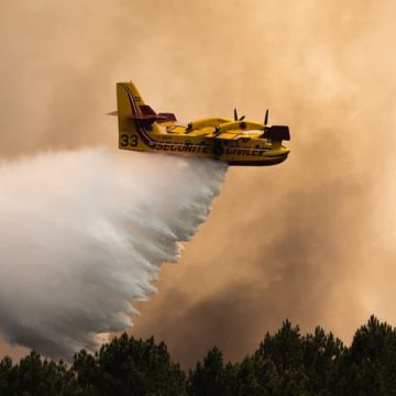 Incendies et Vague de Chaleur en France : Situation et Mesures