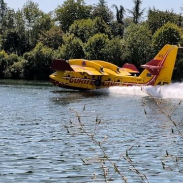 L&rsquo;incendie de forêt en Île-de-France : Une situation inédite à Fontainebleau