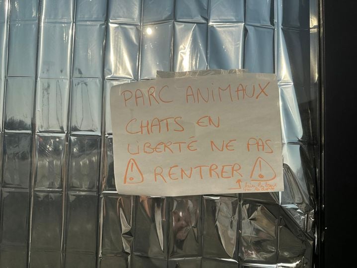66128db8-0f39-40d3-9b6f-2784bdd45393 Au Parc des Expositions, les animaux trouvent refuge avec leurs maîtres