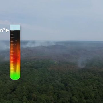 68d2ffa3-f079-45d8-9748-51bdf6722e9d Incendies à Fontainebleau : Impact et Conséquences