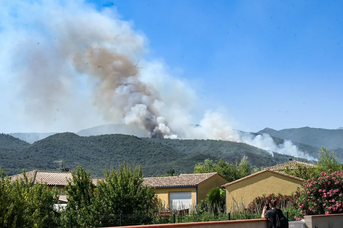 698b42a4-eb16-4465-bd2e-0146291fe0e0 Incendies en France: Prévisions Alarmantes pour 2100