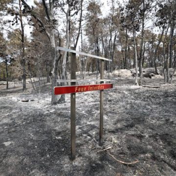 Incendie de la forêt de Fontainebleau : une origine criminelle