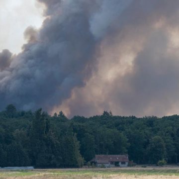6c638f29-7f0a-4abd-8b1d-f44f947623fa Incendies en Île-de-France : Un combat sans relâche