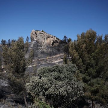 71e884f6-7805-48ed-903d-69c7a84ead7f La saison des incendies en France : une lutte longue et acharnée