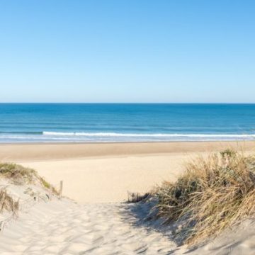 748c42c8-c1f2-4583-a882-16e39dd3e30b Règles sur le Ramassage d’Éléments sur la Plage