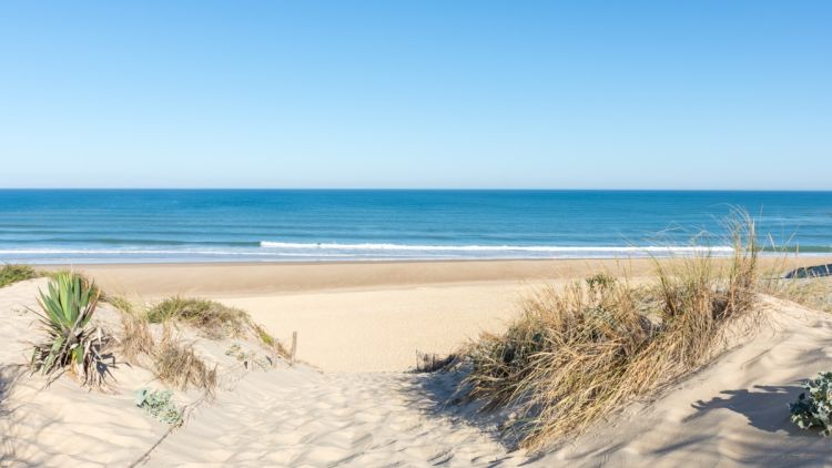 748c42c8-c1f2-4583-a882-16e39dd3e30b Règles sur le Ramassage d’Éléments sur la Plage