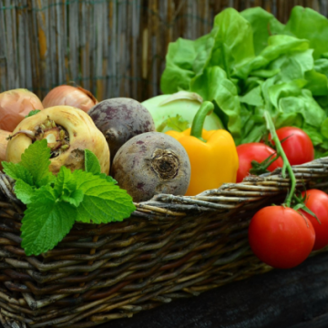 Augmentation des prix des légumes en raison des aléas climatiques en France