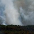 Incendies en Gironde et dans le Var: situation actuelle et actions en cours
