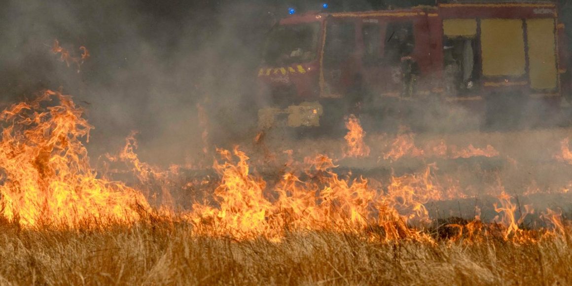 Lutte intense contre les incendies en Gironde