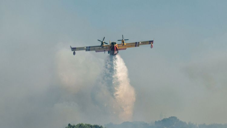 888f666a-9c2f-418f-9e34-003288c82380 Incendie dans les Pyrénées-Orientales : Mobilisation massive pour maîtriser le feu