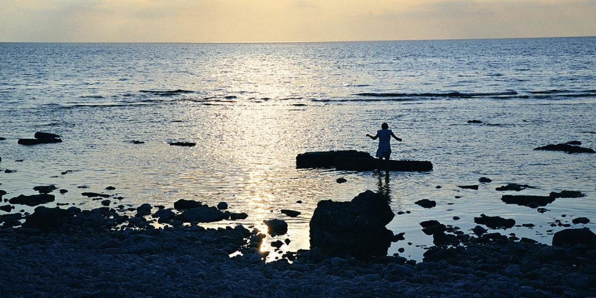 Les héritiers d’Ingmar Bergman sur son île