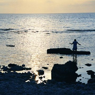 Les héritiers d’Ingmar Bergman sur son île