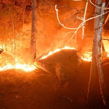 8af95714-37e5-48dc-9273-092c9d4f1a8e Incendies à Fontainebleau : situation et enquête en cours