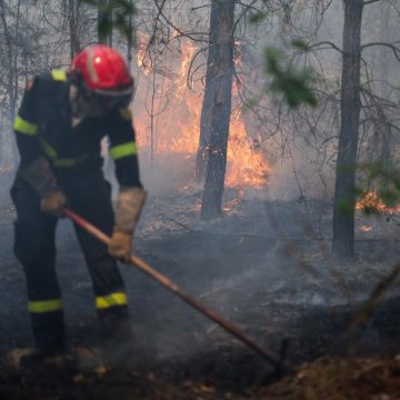 8b9bee9a-cfef-4cc3-9cf5-898cf327e034 Incendies en forêt de Fontainebleau : situation sous contrôle mais vigilance encore nécessaire