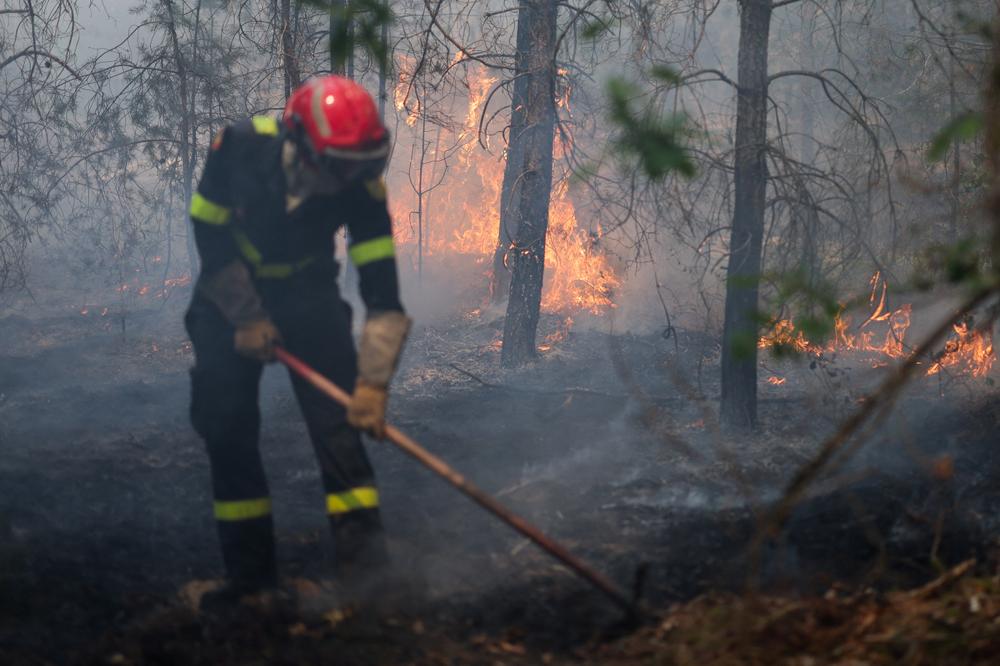 8b9bee9a-cfef-4cc3-9cf5-898cf327e034 Incendies en forêt de Fontainebleau : situation sous contrôle mais vigilance encore nécessaire
