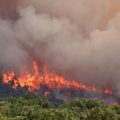 Incendies en Gironde et dans le Var : situation et mesures en cours