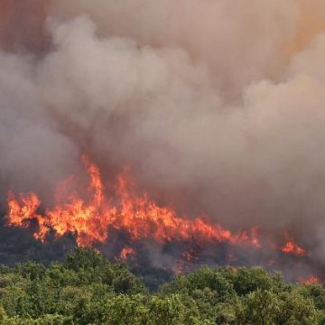 Incendies en Gironde et dans le Var : situation et mesures en cours