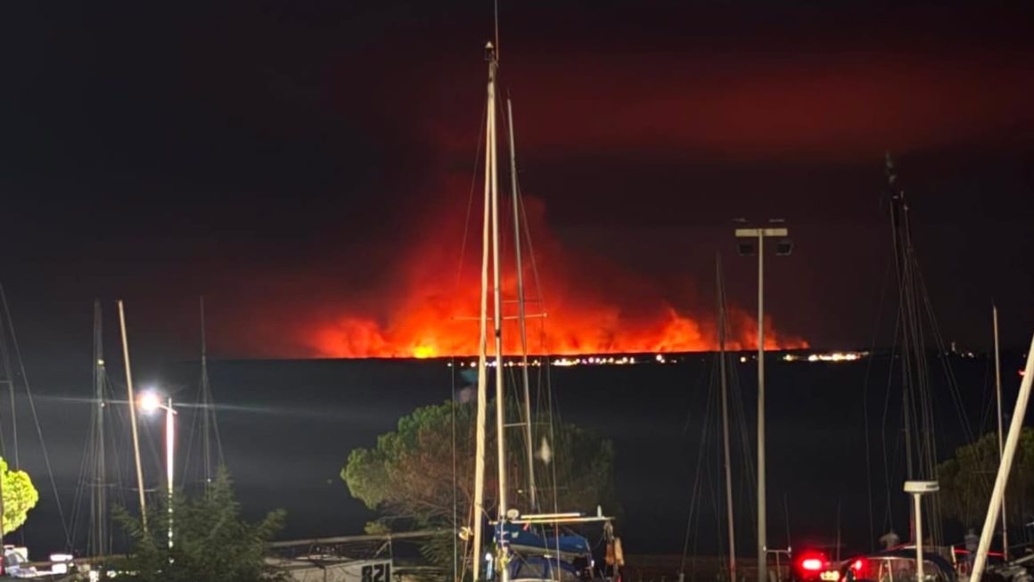 Les Incendies Dévastateurs en France: Un Bilan Alarmant