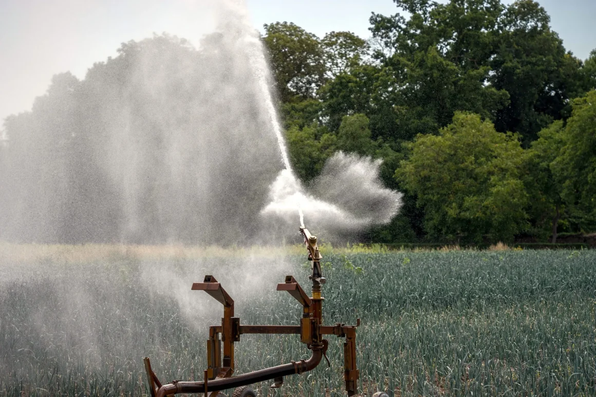 Opposition à la Réintroduction de Pesticides Interdits dans le Projet de Loi Agricole