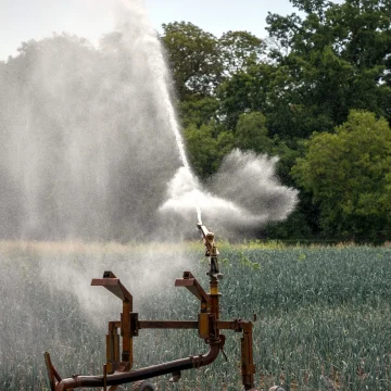 9bb27b4d-579b-431f-969a-3d9c0391d469 Opposition à la Réintroduction de Pesticides Interdits dans le Projet de Loi Agricole