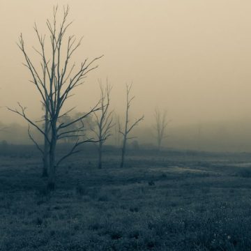 Rainer Maria Rilke et sa quête spirituelle