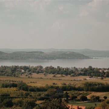 Allemands Expatriés en Hongrie: À la Recherche du Passé Perdu