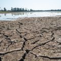 La Révision de la Loi sur la Protection Agricole et Son Impact