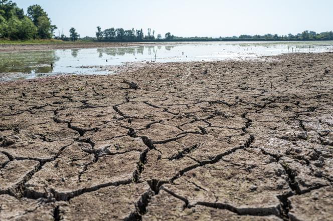 a8504000-6142-406d-a445-218653621bd9 La Révision de la Loi sur la Protection Agricole et Son Impact
