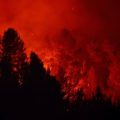 Les incendies en Gironde et dans le Var : état des lieux