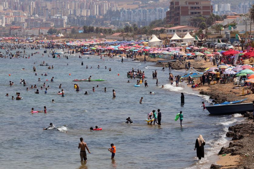 Summer In Algeria La lutte contre les privatisations sauvages en Algérie