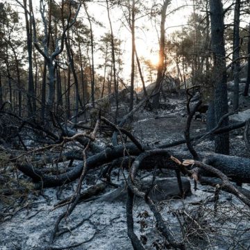 FRANCE-FIRE-FONTAINEBLEAU Le Massif des Trois Pignons Dévasté par un Incendie
