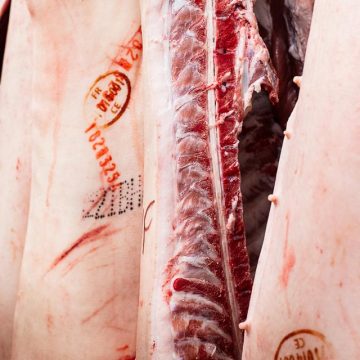 b89c09b1-3441-4d73-ba65-729559473ff6 La survie de l’abattoir communautaire du Grand Autunois Morvan